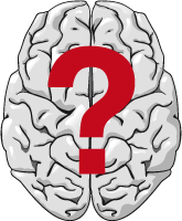 полушария-мозга-тест