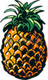 Ananas